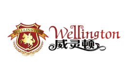 攬月科技