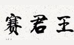 賽君王