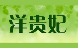 洋貴妃