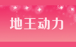 地王動力