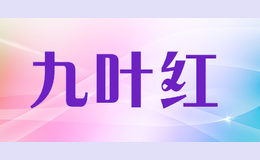 九葉紅
