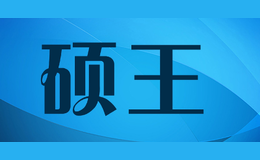 碩王