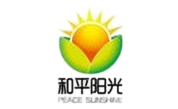 和平陽光太陽能發電