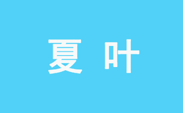 夏葉