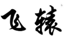 飛轅