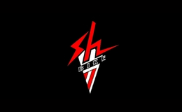 sh運(yùn)動(dòng)
