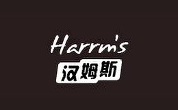 漢姆斯