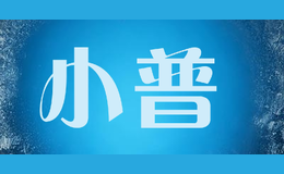 小普POOAI