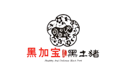 黑加寶