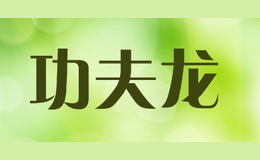 功夫龍
