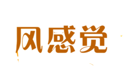 風(fēng)感覺